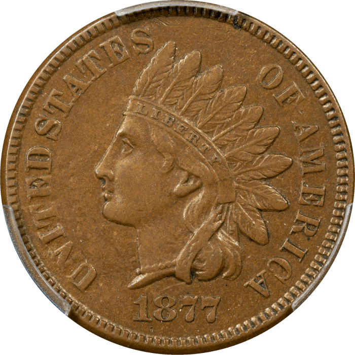1877 Indian Cent (1c) Obverse Image
