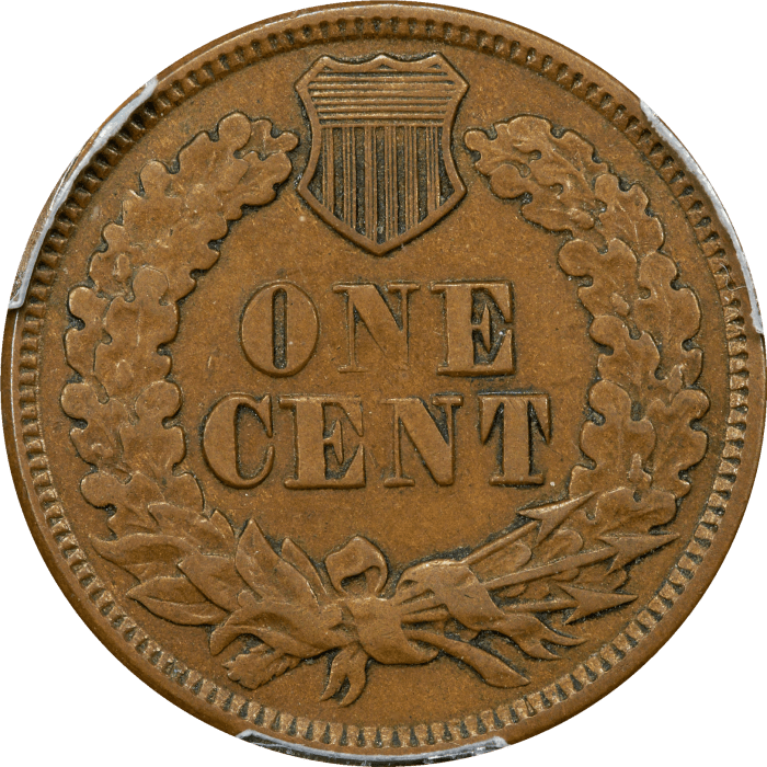 1877 Indian Cent (1c) REVERSE Image