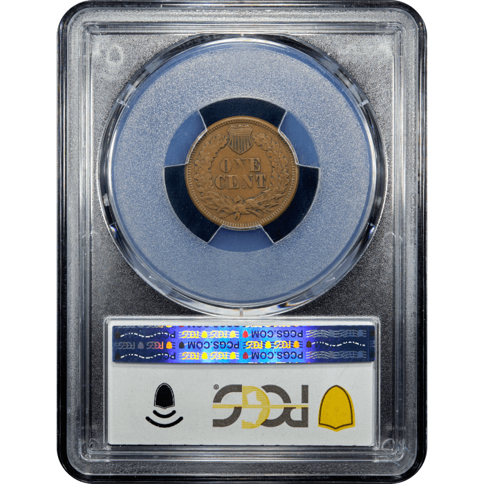 1877 Indian Cent (1c) Reverse Slab Image