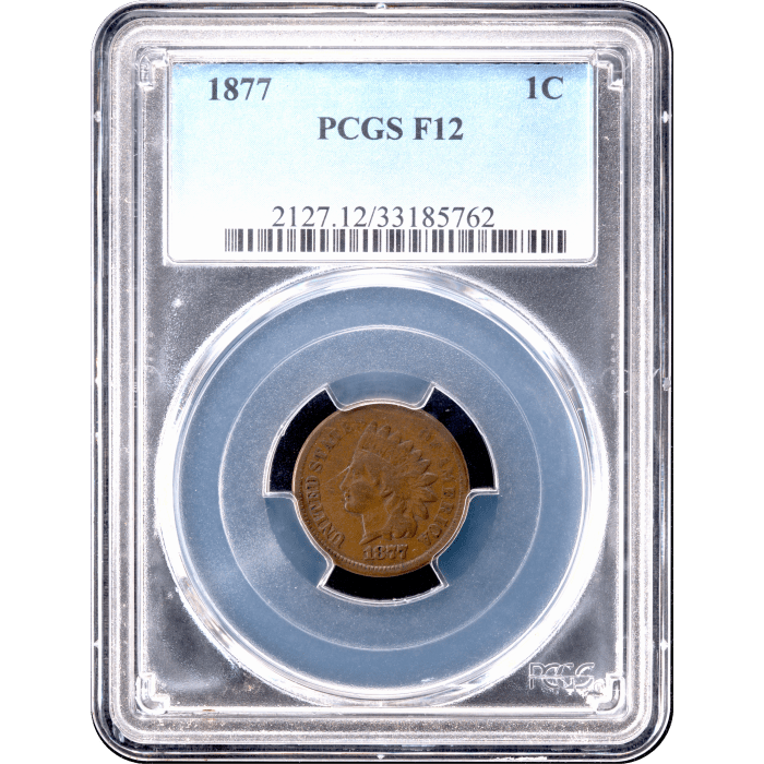 1877 Indian Cent (1c) Obverse Slab Image