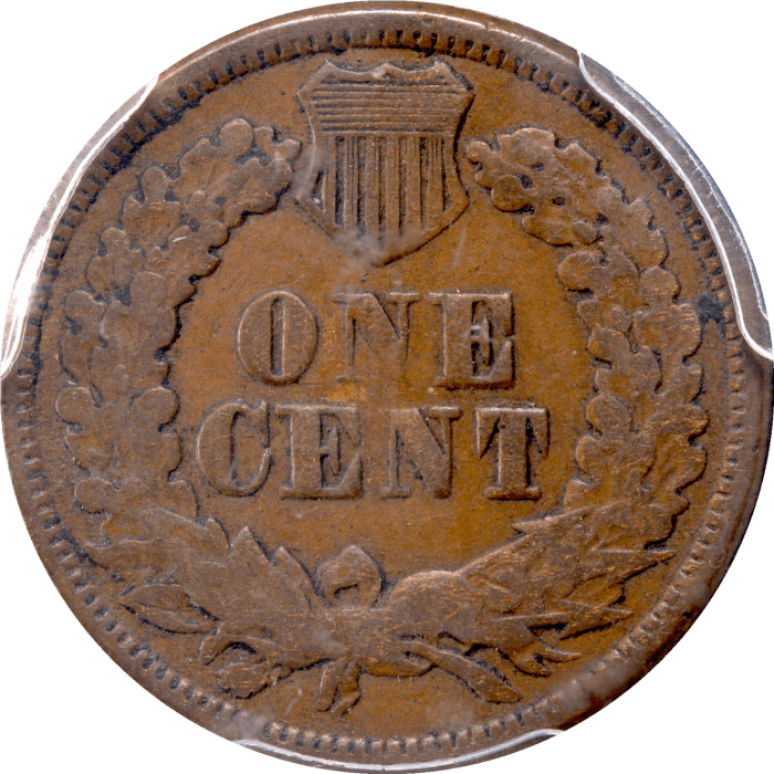1877 Indian Cent (1c) Reverse Image