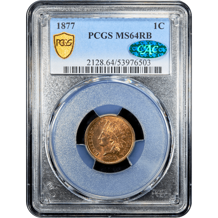 1877 Indian Cent (1c) SLAB Image