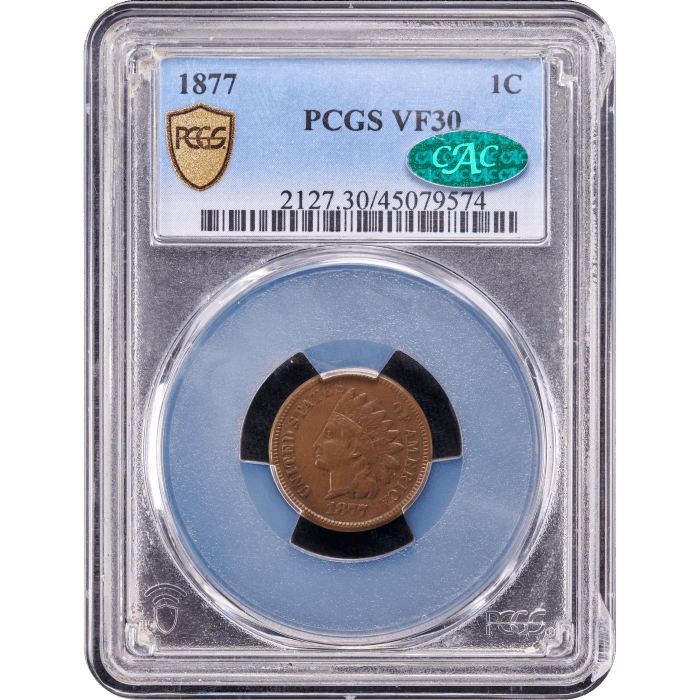 1877 Indian Cent (1c) Obverse Slab Image