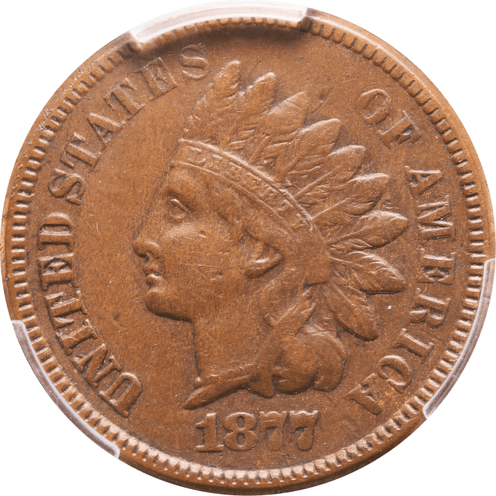 1877 Indian Cent (1c) Obverse Image
