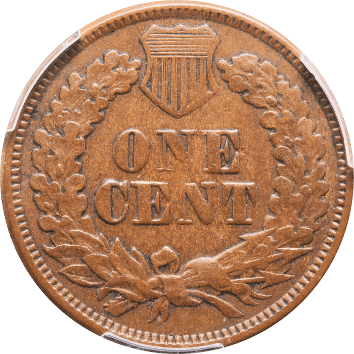 1877 Indian Cent (1c) Reverse Image
