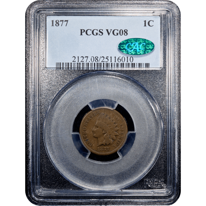 1877 Indian Cent (1c) SLAB Image