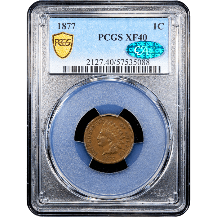 1877 Indian Cent (1c) Obverse Slab Image