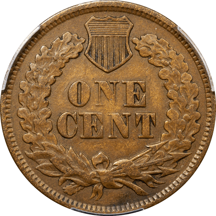 1877 Indian Cent (1c) Reverse Image