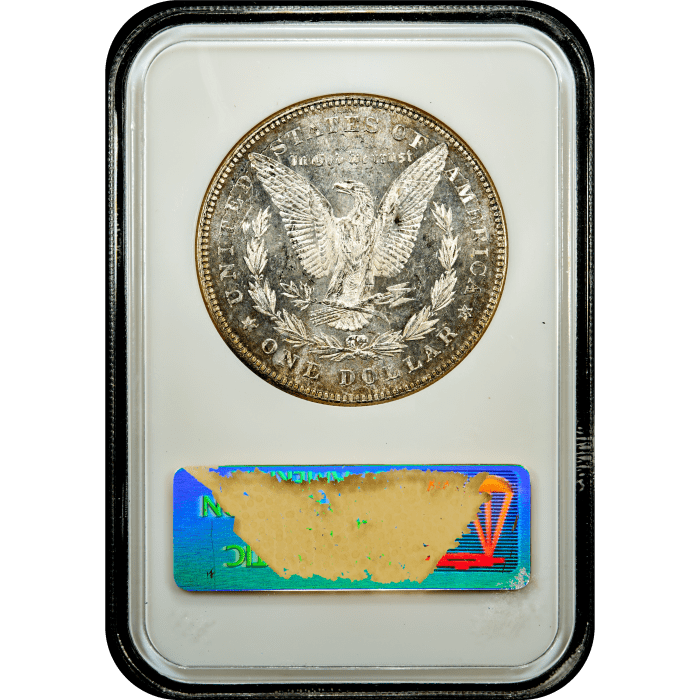 1878 7TF Morgan Dollar ($1) Reverse of 1878 Reverse Slab Image