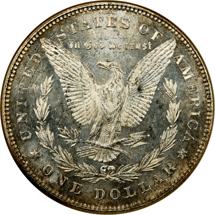1878 7TF Morgan Dollar ($1) Reverse of 1878 Reverse Image