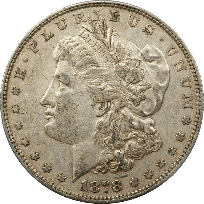 1878 Morgan Dollar ($1) 8TF VAM 14.15 Lines in Hair Obverse Image