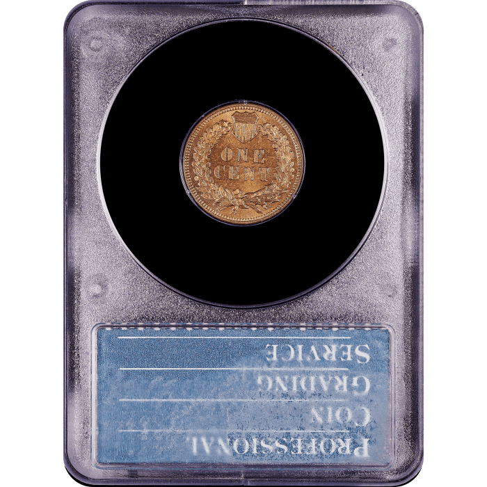 1879 Indian Cent (1c) Rattler Reverse Slab Image