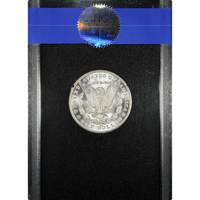1881-CC GSA Morgan Dollar ($1) SLAB Image
