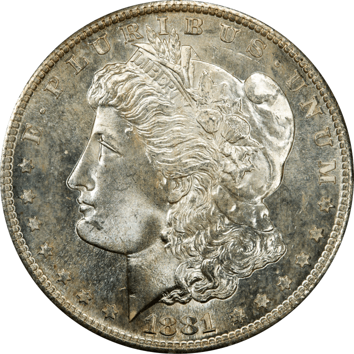 1881-S Morgan Dollar ($1) Rattler OBVERSE Image