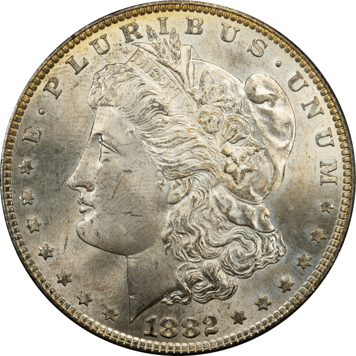 1882 Morgan Dollar ($1) OGH OBVERSE Image