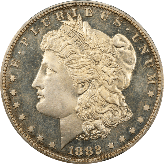 1882 Morgan Dollar ($1) OBVERSE Image