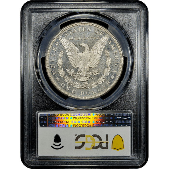1884 Morgan Dollar ($1) SLAB Image