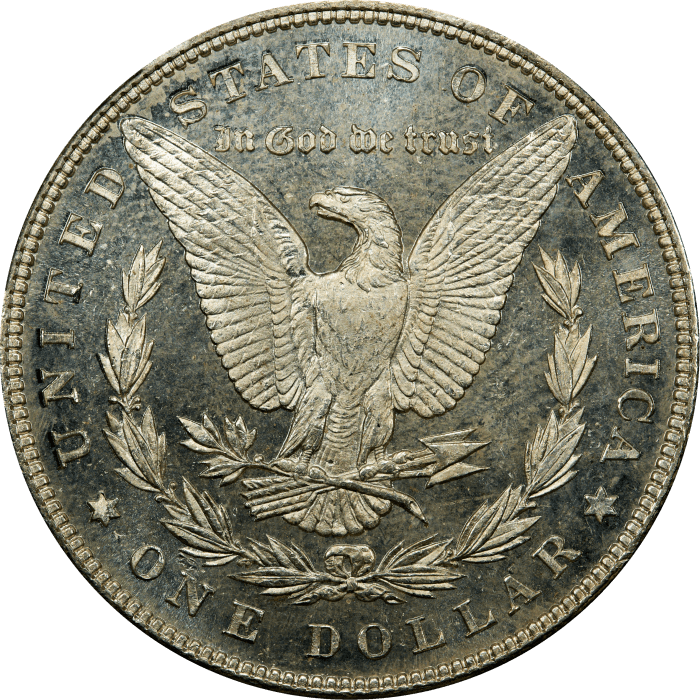 1884 Morgan Dollar ($1) REVERSE Image