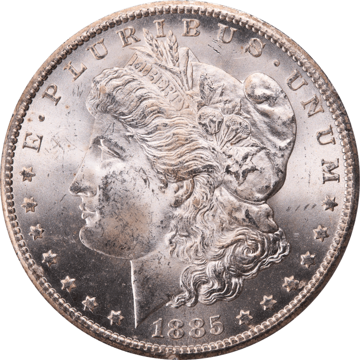 1885-CC Morgan Dollar ($1) Rattler Obverse Image