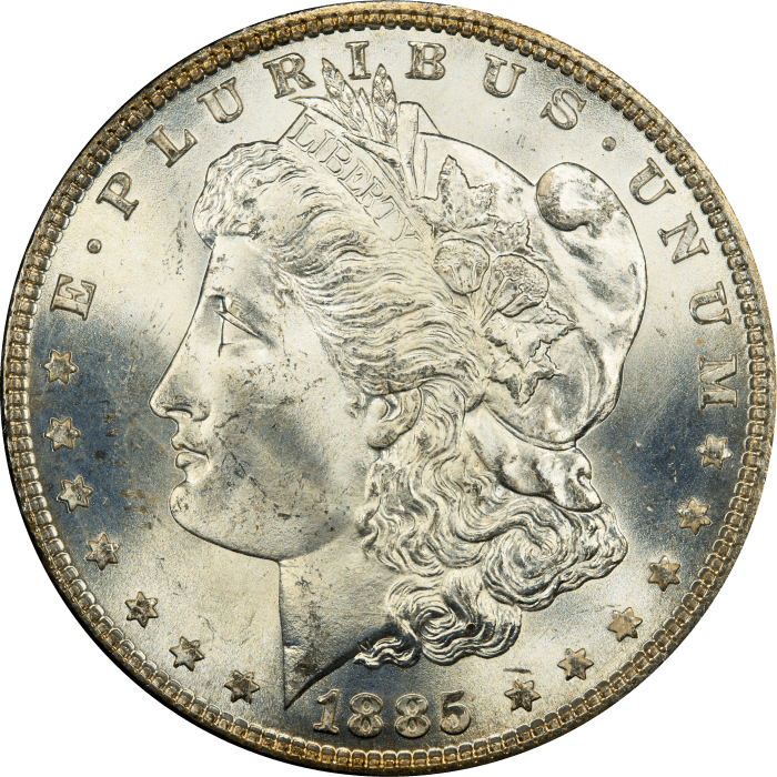 1885 Morgan Dollar ($1) Rattler OBVERSE Image