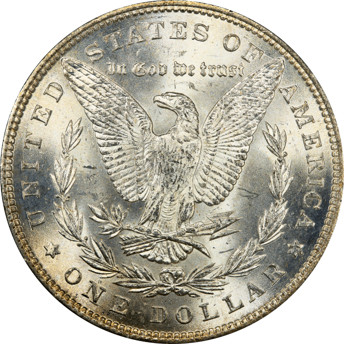 1885 Morgan Dollar ($1) Rattler REVERSE Image