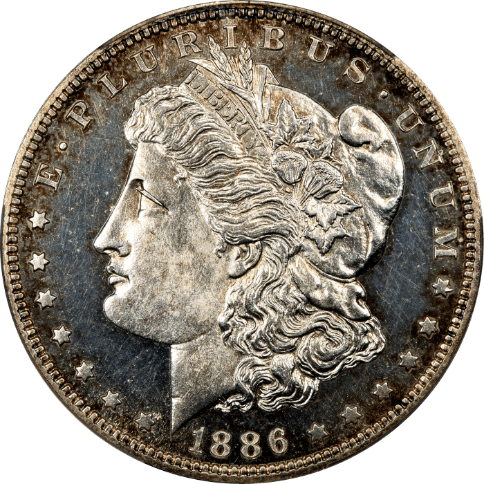 1886 Morgan Dollar ($1) Obverse Image