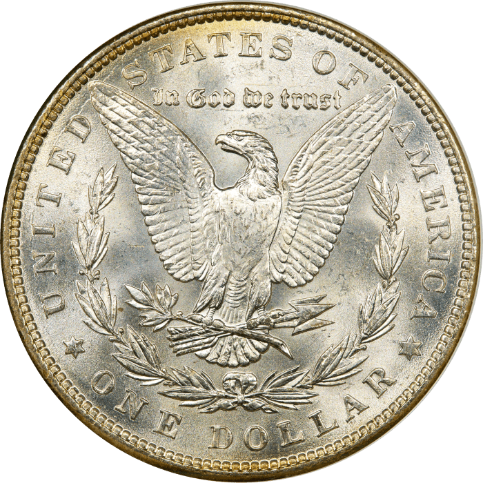 1886 Morgan Dollar ($1) Rainbow Toner REVERSE Image