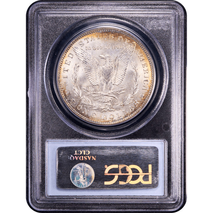 1887 Morgan Dollar ($1) Rainbow Toner Reverse Slab Image