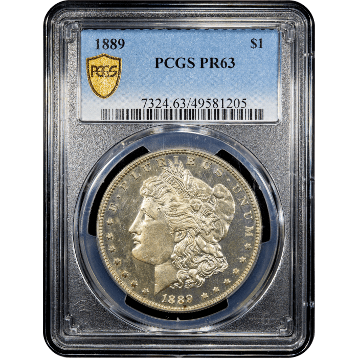 1889 Morgan Dollar ($1) SLAB Image