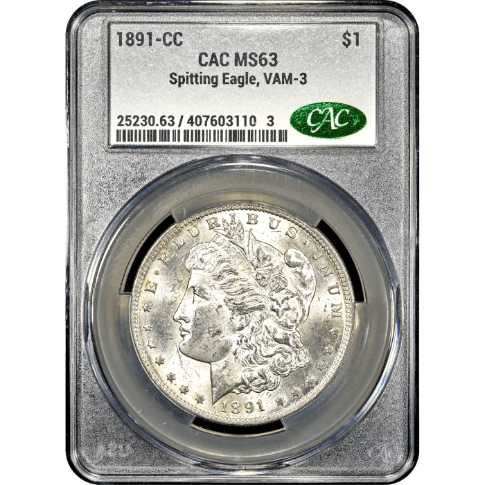 1891-CC Morgan Dollar ($1) VAM 3 Spitting Eagle SLAB Image