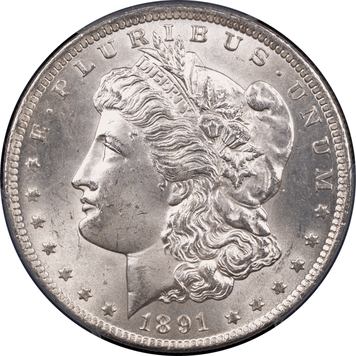 1891-CC Morgan Dollar ($1) VAM 3 Spitting Eagle Obverse Image