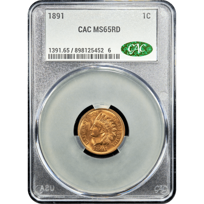 1891 Indian Cent (1c) Obverse Slab Image