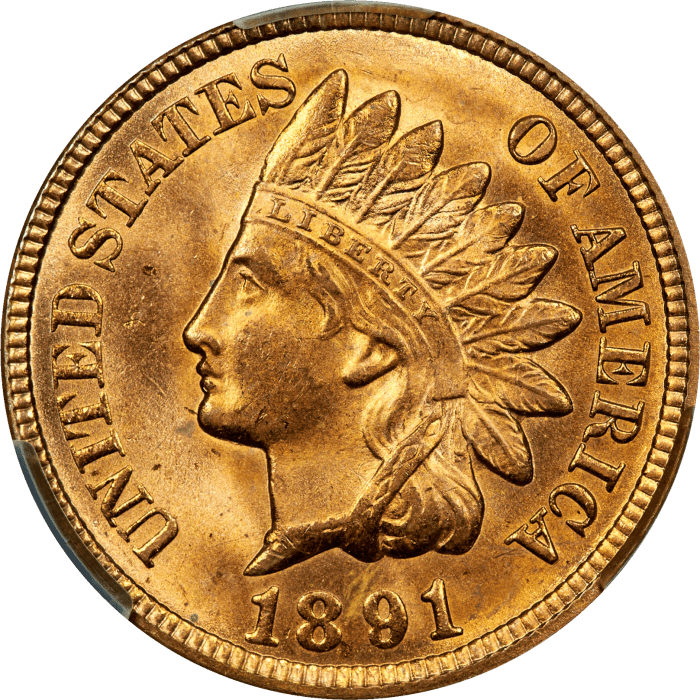 1891 Indian Cent (1c) Obverse Image
