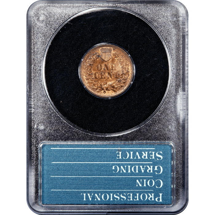 1891 Indian Cent (1c) Rattler Reverse Slab Image