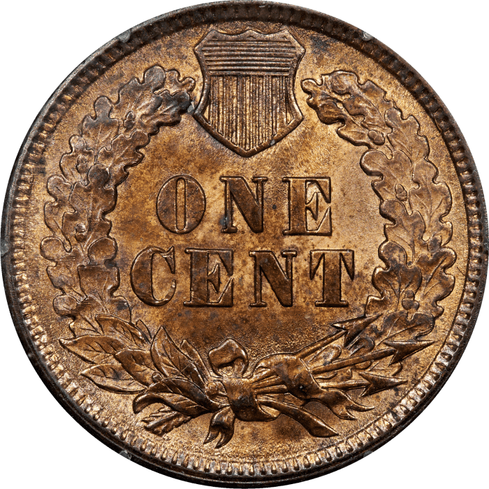 1891 Indian Cent (1c) Rattler Reverse Image