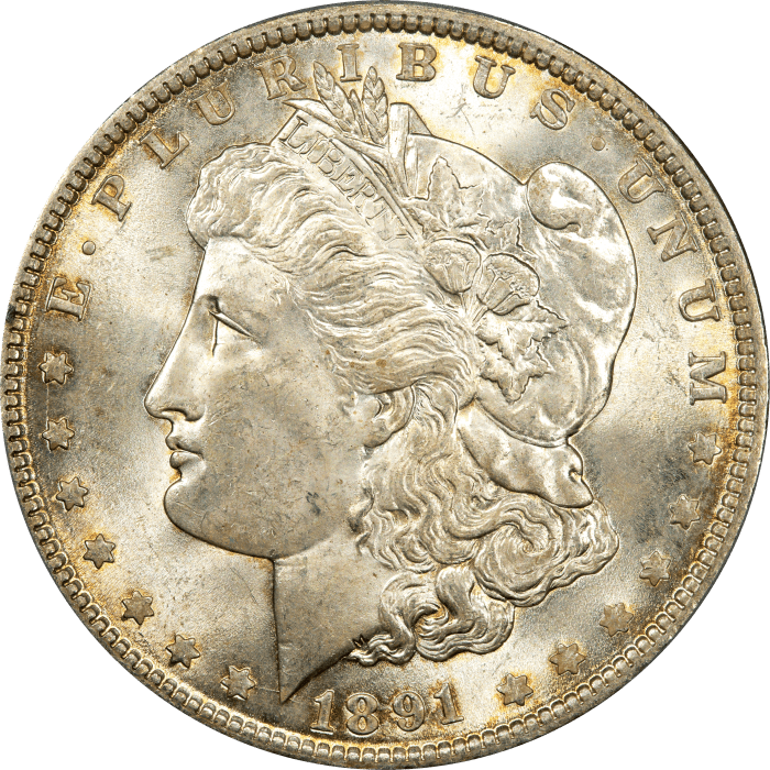 1891 Morgan Dollar ($1) Obverse Image
