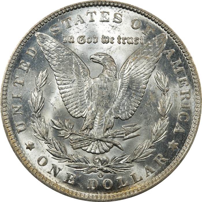 1891-O Morgan Dollar ($1) Rattler Reverse Image
