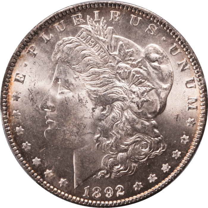 1892 Morgan Dollar ($1) OBVERSE Image
