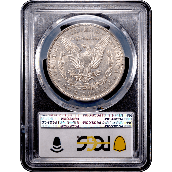 1893 Morgan Dollar ($1) Reverse Slab Image