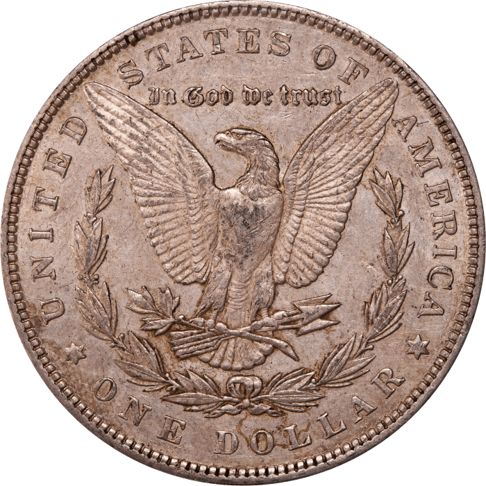 1893 Morgan Dollar ($1) Reverse Image