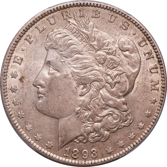 1893 Morgan Dollar ($1) Obverse Image