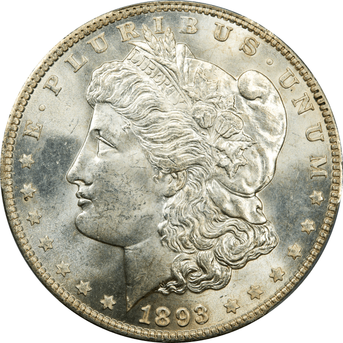 1893 Morgan Dollar ($1) OBVERSE Image