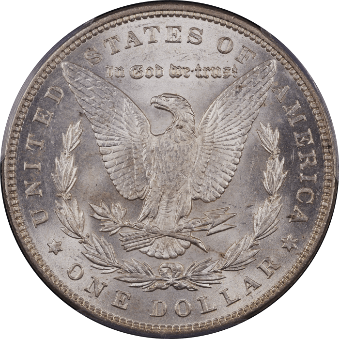 1893 Morgan Dollar ($1) REVERSE Image