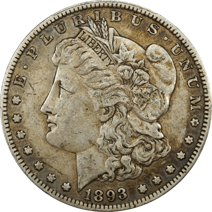 1893 Morgan Dollar ($1) OBVERSE Image