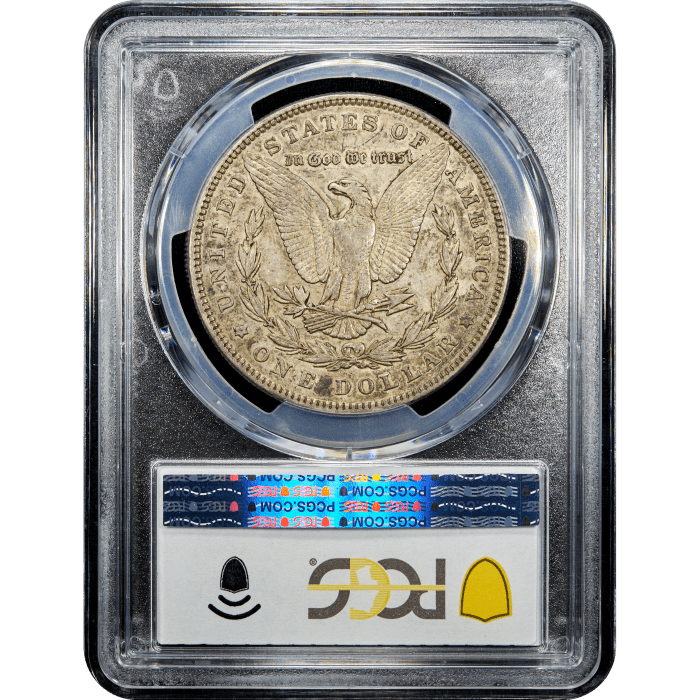 1893 Morgan Dollar ($1) Reverse Slab Image
