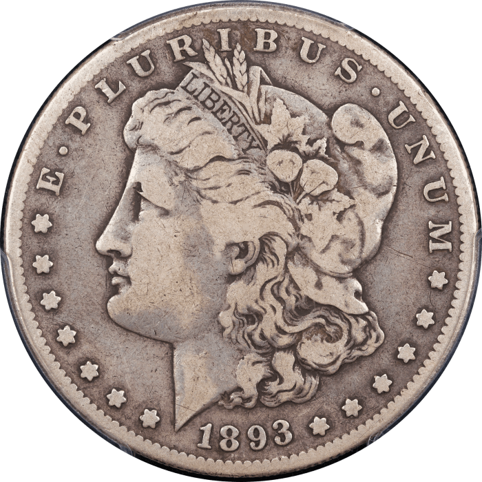 1893-S Morgan Dollar ($1) Obverse Image