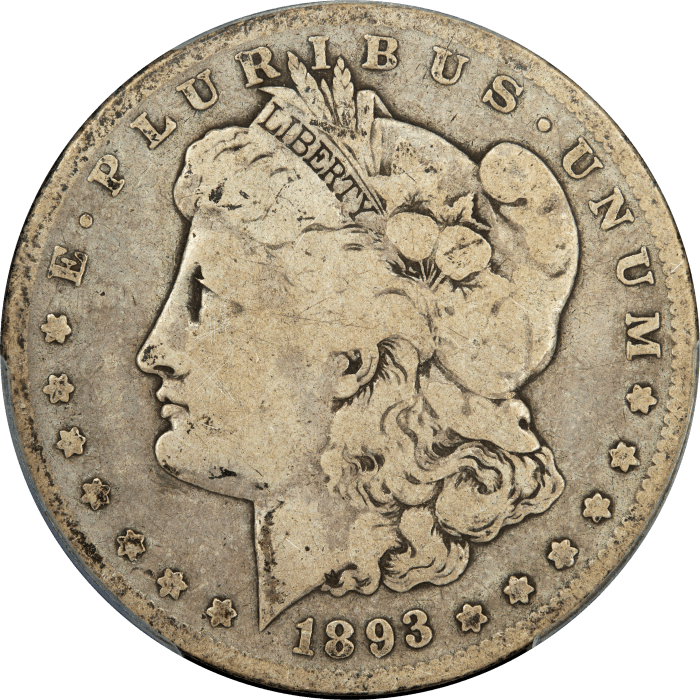 1893-S Morgan Dollar ($1) OBVERSE Image