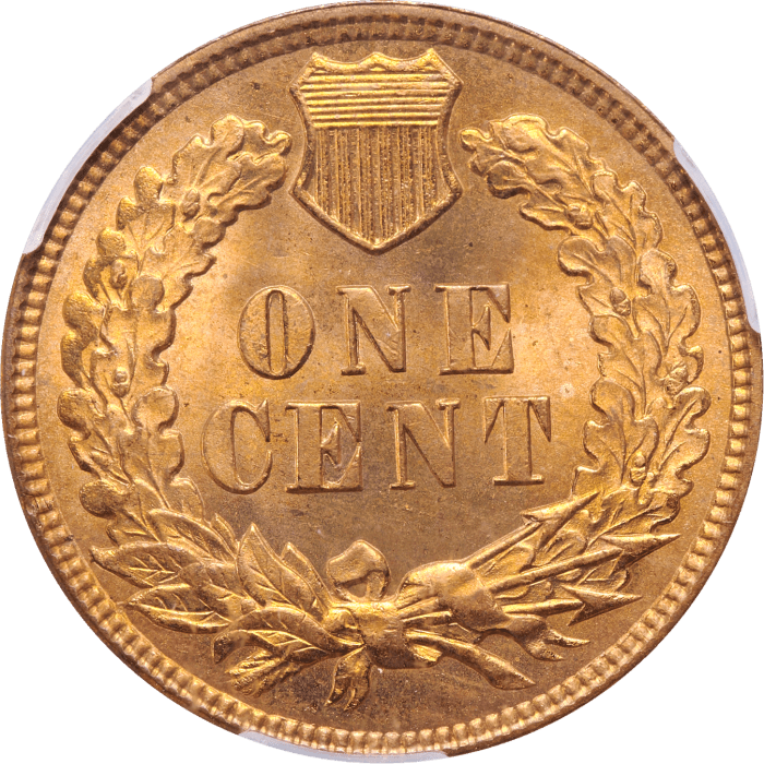 1895 Indian Cent (1c) REVERSE Image