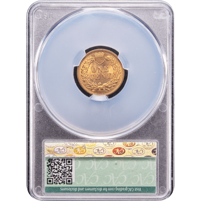 1895 Indian Cent (1c) Reverse Slab Image