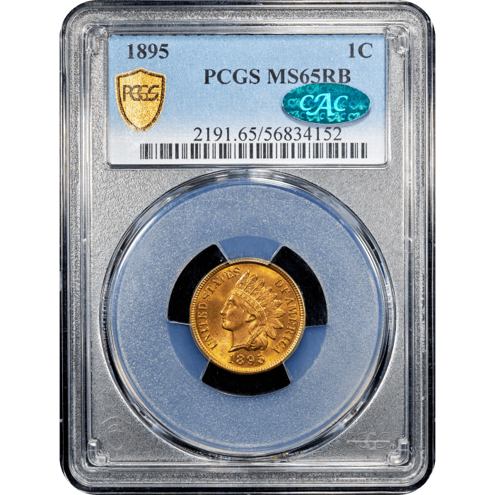 1895 Indian Cent (1c) Obverse Slab Image